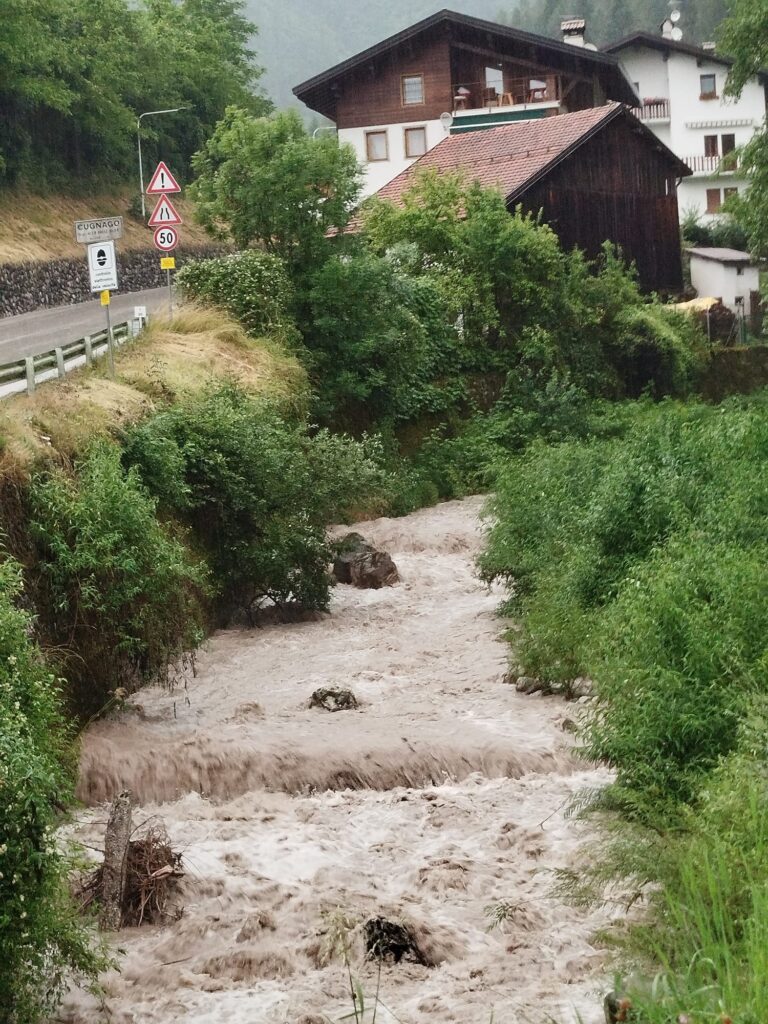 9f9efdb8-d5e6-43e8-942f-032ff6088b36