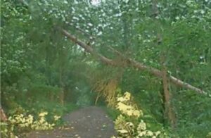 Immagine-2025-05-30-051425-300×196