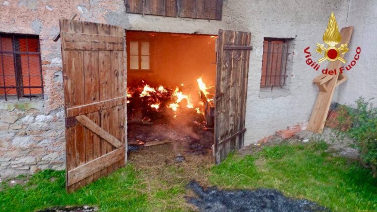 b8276ed9-4df0-4acc-beaa-29f21ecc1165