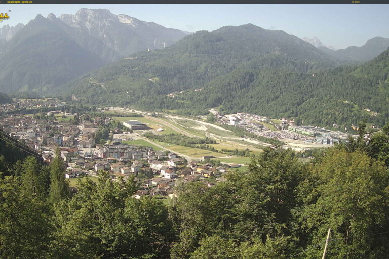 cam11