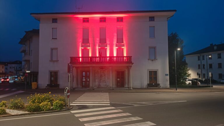 ced3a619-dca0-461e-88cf-7d9e4c3c4116