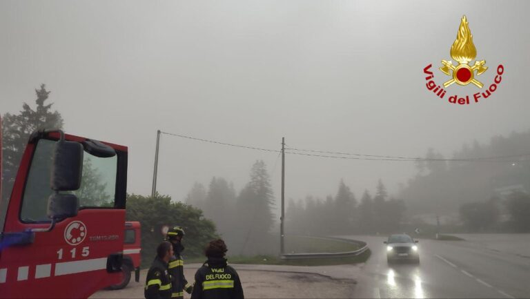 f4d9b31f-a5eb-4a5b-b726-8e155816e066