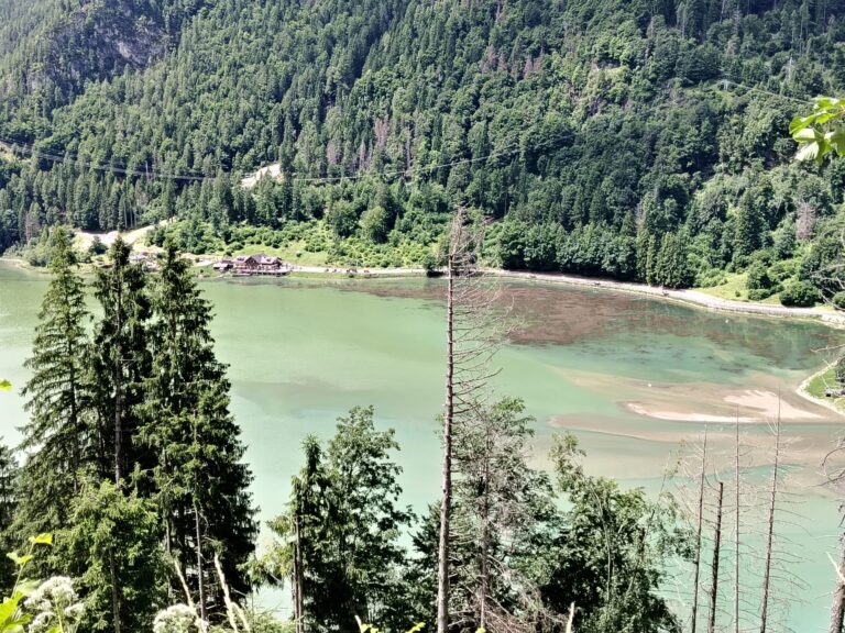 f9f62037-c9c2-449f-a139-2bf71963c257