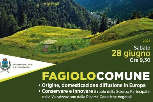 fagiolo