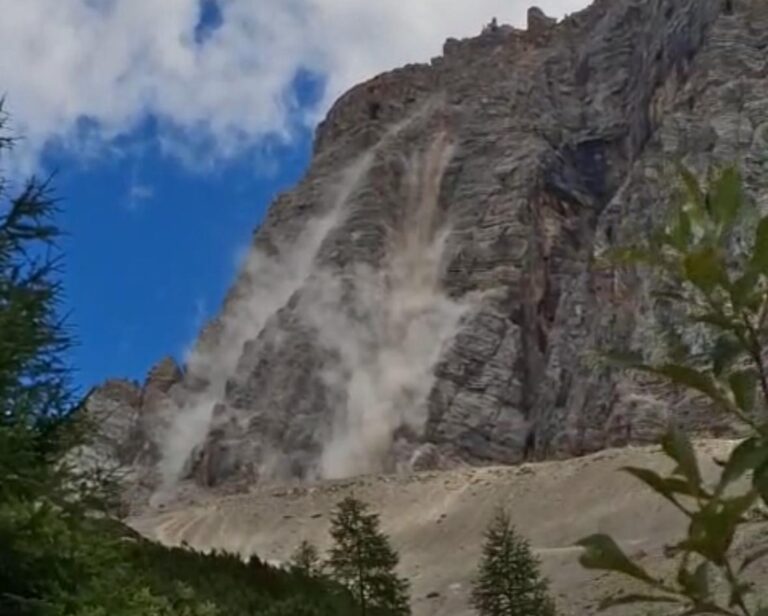 09695d1d-2c62-4d0f-9f88-adea7cb9e4a2