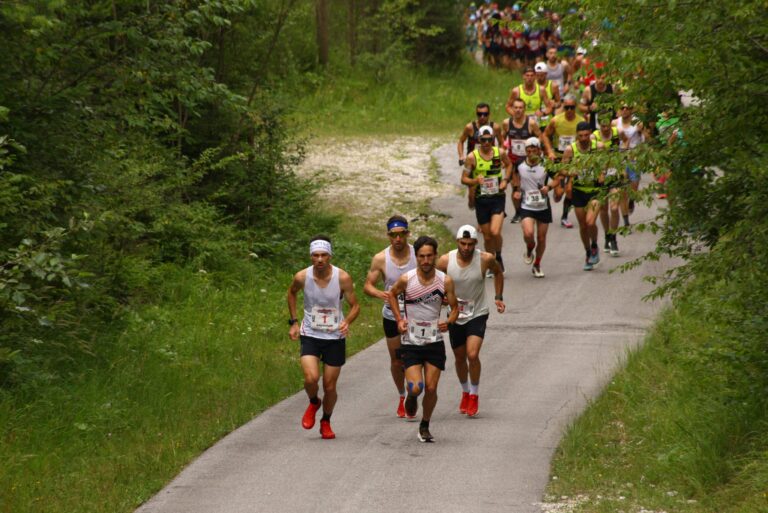 0e758a8d-4d84-47e0-ba45-3dedca55f99c