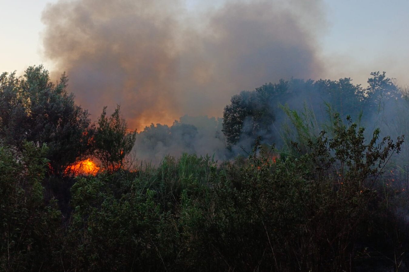 127715fd-db9d-4c6b-a70a-62b327ef35fc