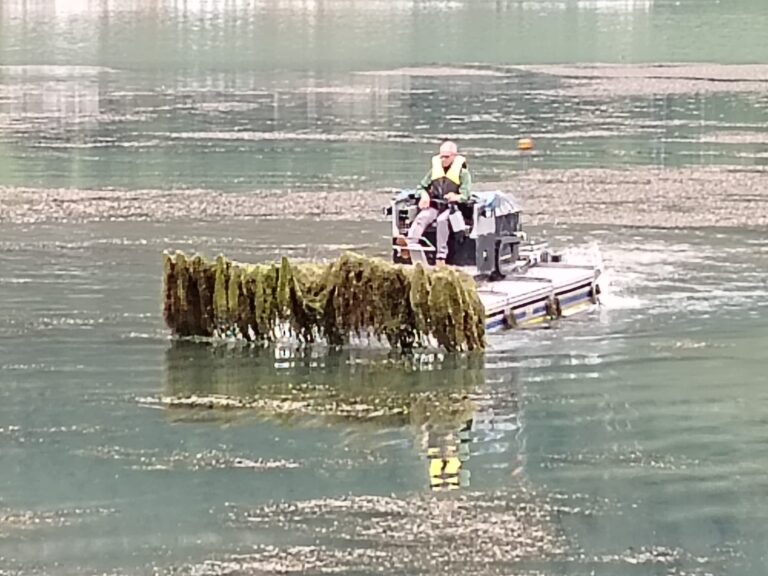 61f03dc2-2108-419d-9cd3-b12e94e757e9