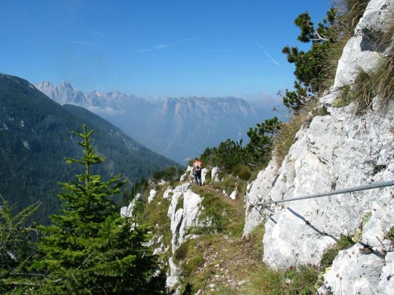 6fc27c5a-118f-4bd3-a71c-98c9defa300d