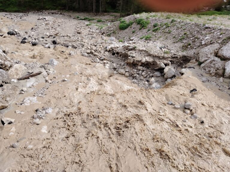 80a3353d-cfc4-4167-a89f-b6b9aac8b8da