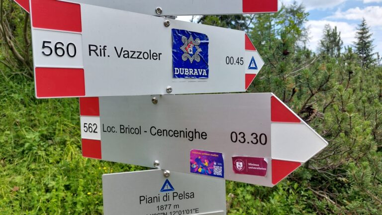 994c5216-366e-4734-aed9-4f9ce2f44069