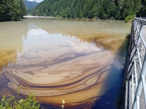 Immagine-WhatsApp-2025-06-27-ore-14.02.21_365a26ce-300×225