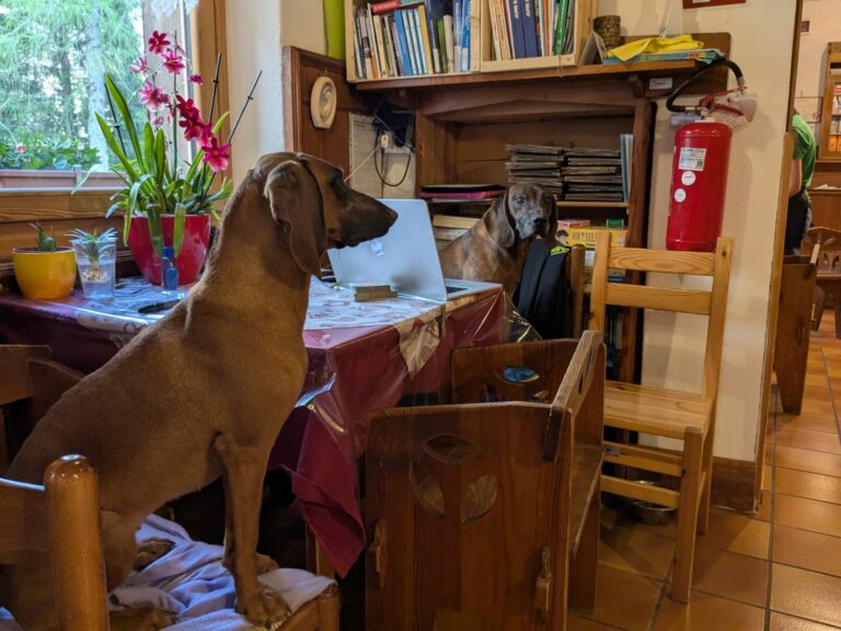 PXL_20250629_173157326