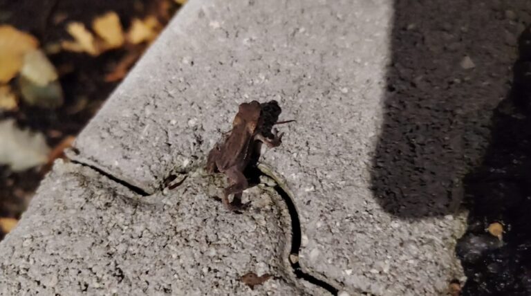 a5e4af04-5808-47f3-acd3-8b41ccfc82c8