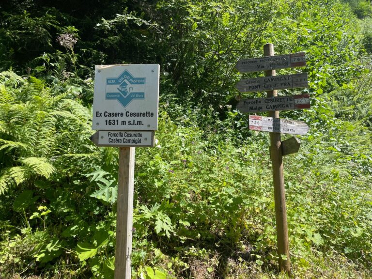 b56f14e3-5fa9-43e4-83a3-d82c950245bd