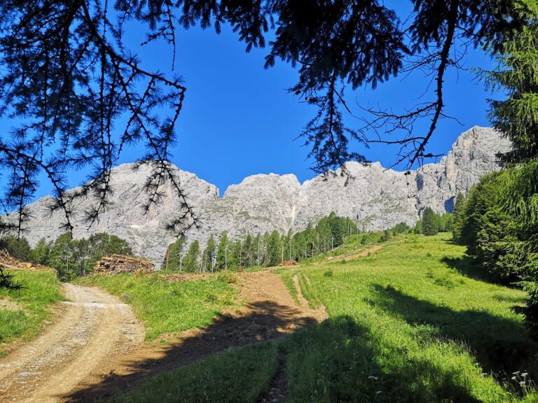 bf1fbe63-2236-4180-8018-f572bb28b026