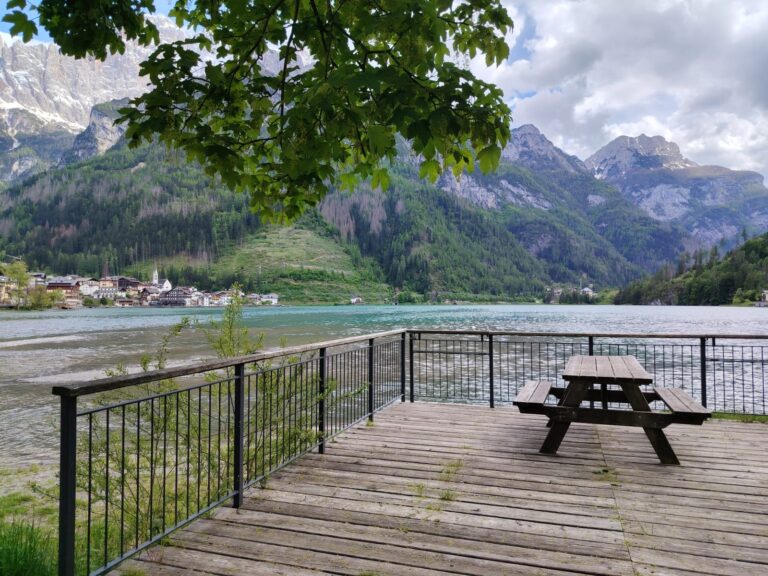 d612900b-7ad5-43fb-bb61-411b3cca32c3