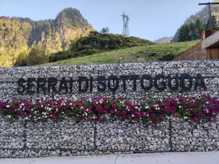 00a45202-3ade-478e-95f9-caec59354601