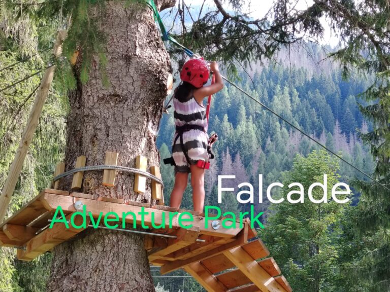 03666449-dc35-4d07-8058-45162f0d1206