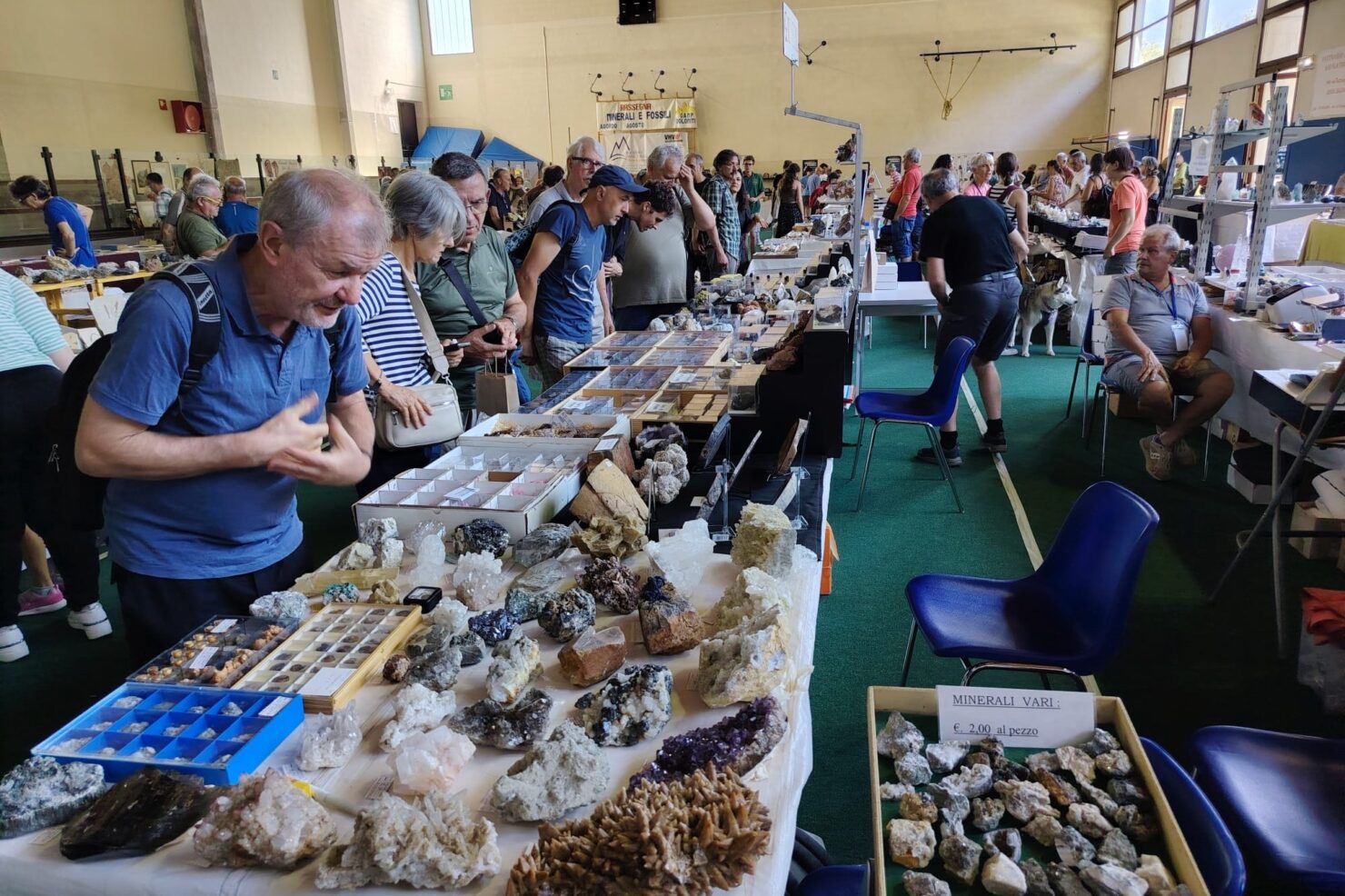 09cddd44-0541-4f69-9fe8-088dcde6bc02