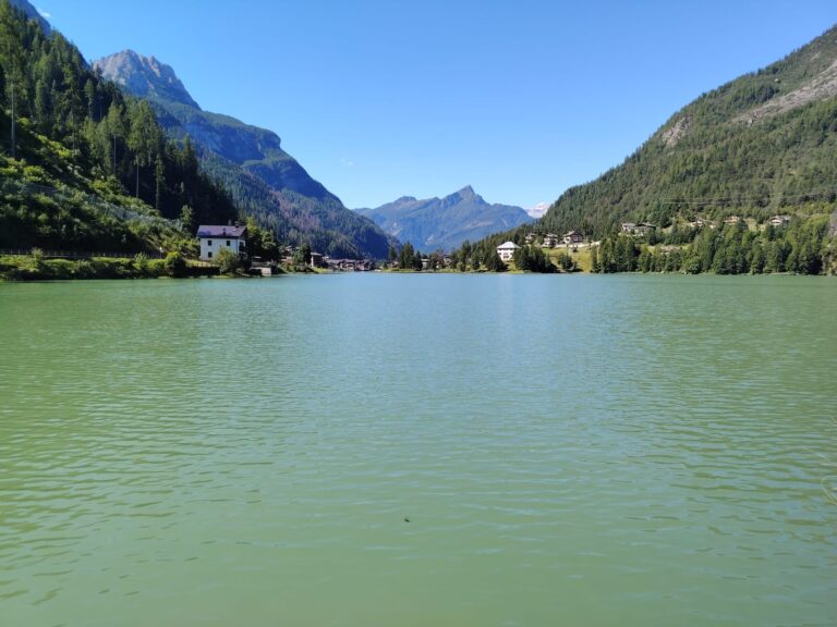 0c8194c5-f503-4eb0-b17f-c71e14481dde