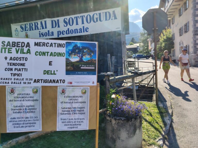 0c84ddcd-f77c-4305-9f71-fc44e66db1ab