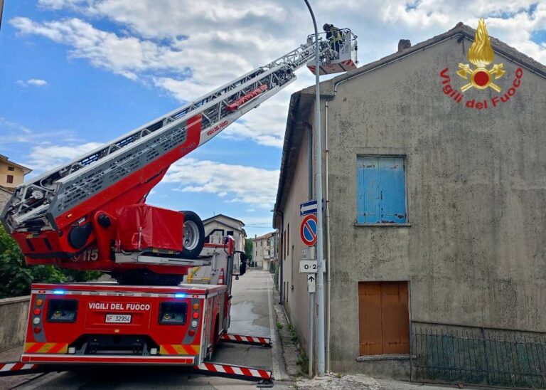 53626629-3a07-4b6c-8b63-ff69985d87fd