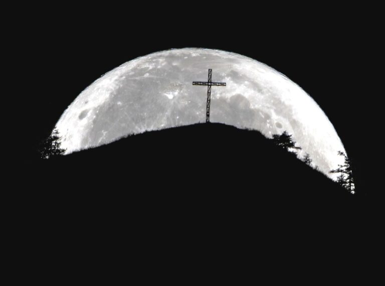 8be81d7a-9650-4038-8b12-b2f7cbaee6dc