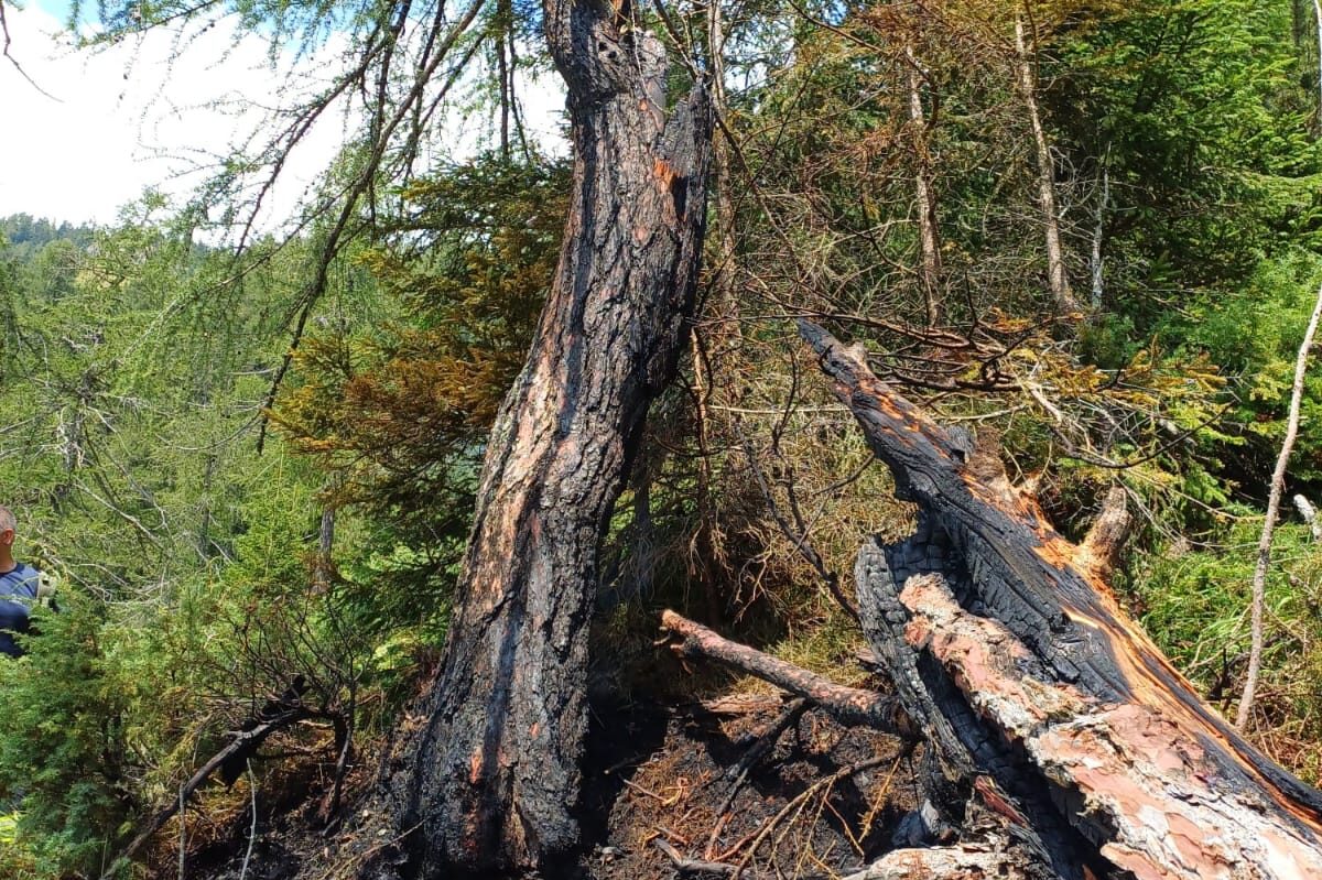 8e8cee15-6200-4dce-862c-e3957523dfe1