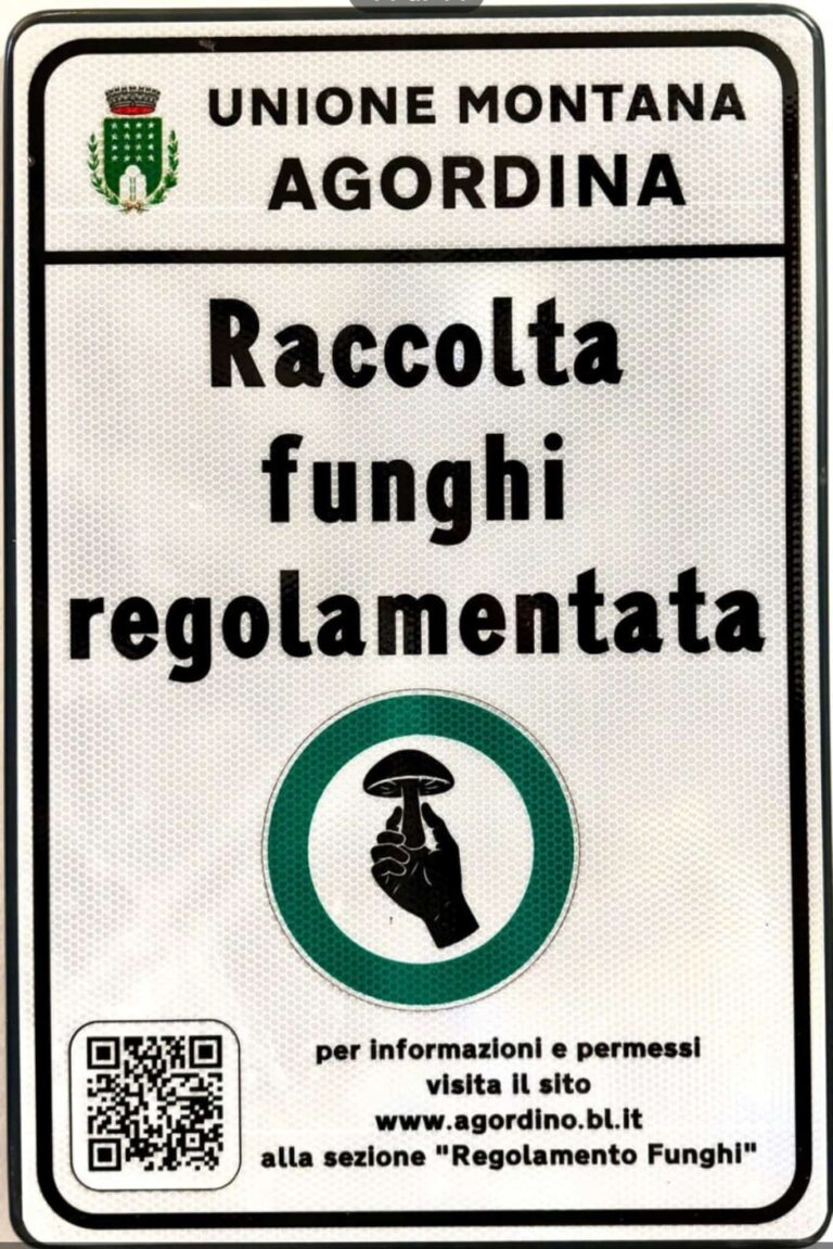 91ca2613-79c2-49e4-a6fd-55f6c7e9006c