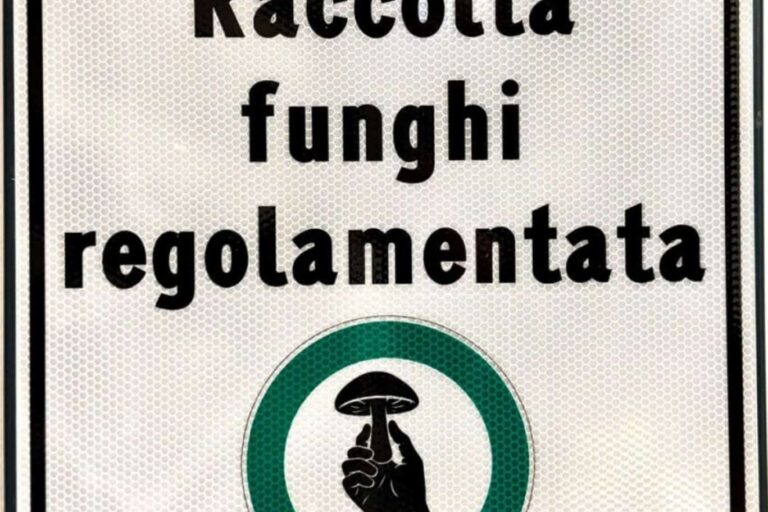 91ca2613-79c2-49e4-a6fd-55f6c7e9006c