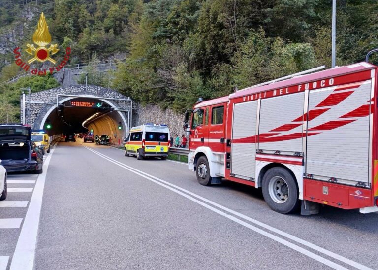 94ec2958-151d-40a7-8a9d-5884fb1bf6a5