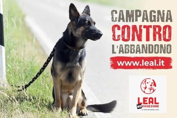 LEAL NO ABBANDONO