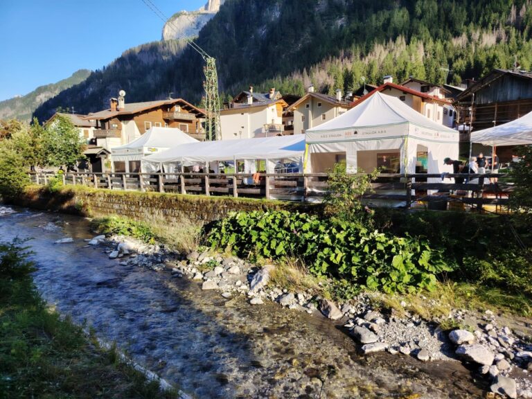 a07a9887-7495-4832-ad14-40710c62f0a9