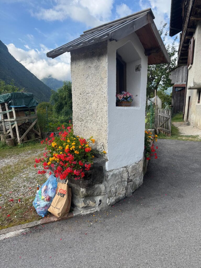 b11a0ea8-526a-40bf-b0a7-e85ce1e8c734