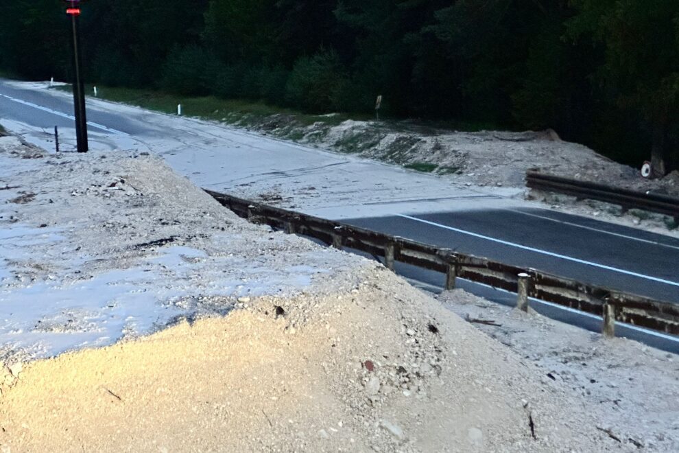 bf2959f7-4139-42af-aa22-a78eff47fcd4