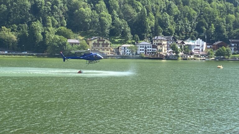 d106e77b-e75c-48c4-93a6-33ddd495ff41