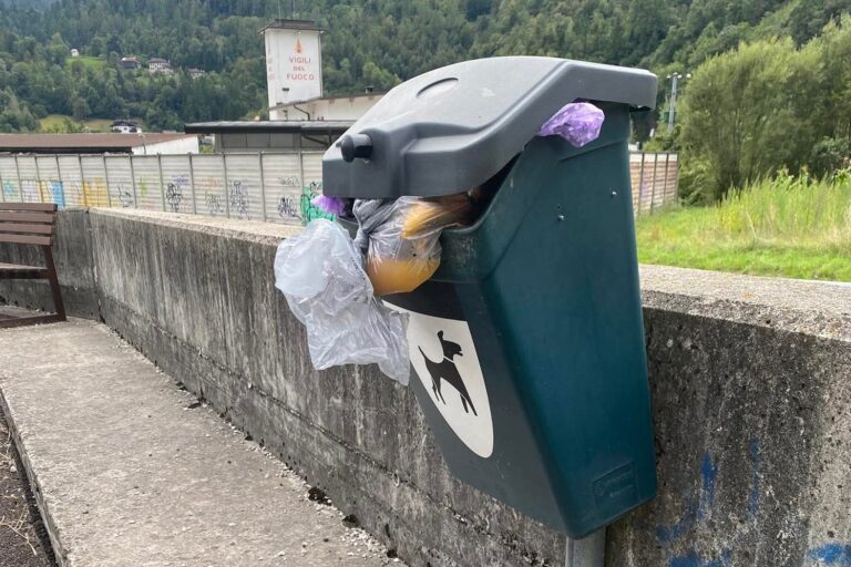 kldvlaugo