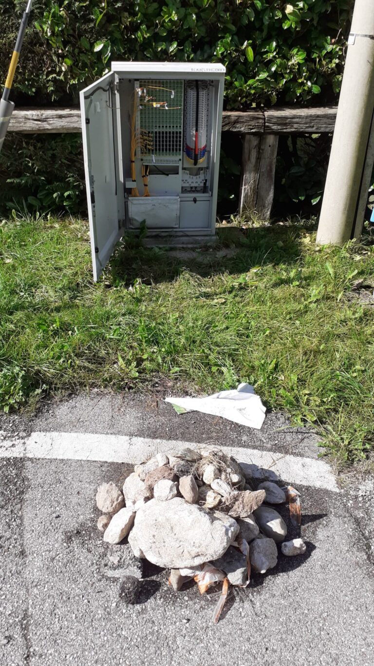 13546e68-4336-4da0-a51d-05782a60e18e