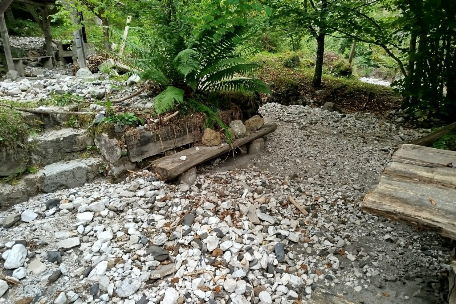 59e18271-5d4f-4d14-91ba-83181d9045a3