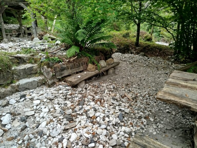 59e18271-5d4f-4d14-91ba-83181d9045a3