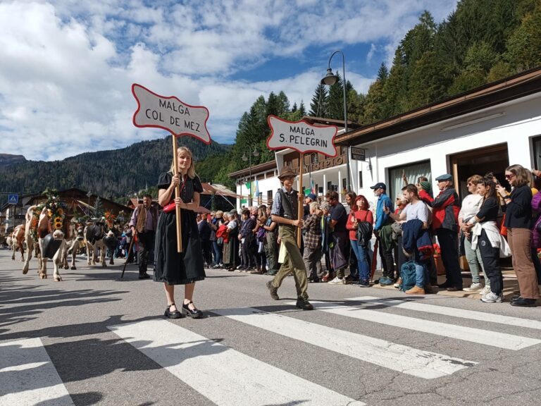 5f77609a-0772-4e8e-b5c6-0e082067aa46