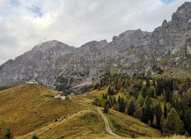 8b410d16-2af1-4cc1-8d07-e724bcc055b1