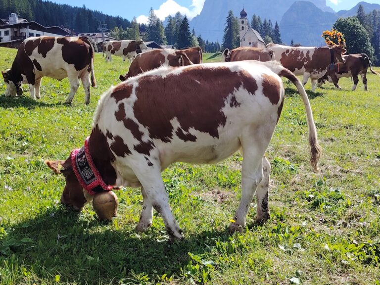 9a577797-81b6-4fe5-9631-f891371e2a36