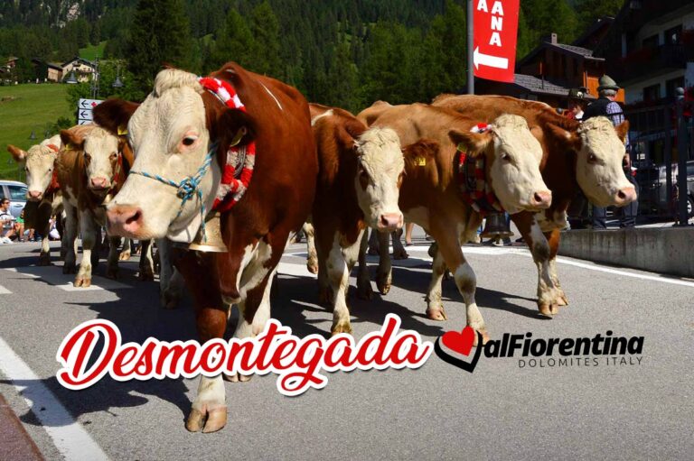 Desmontegada-valfiorentina-dolomiti