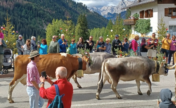 Screenshot 2025-09-11 095739