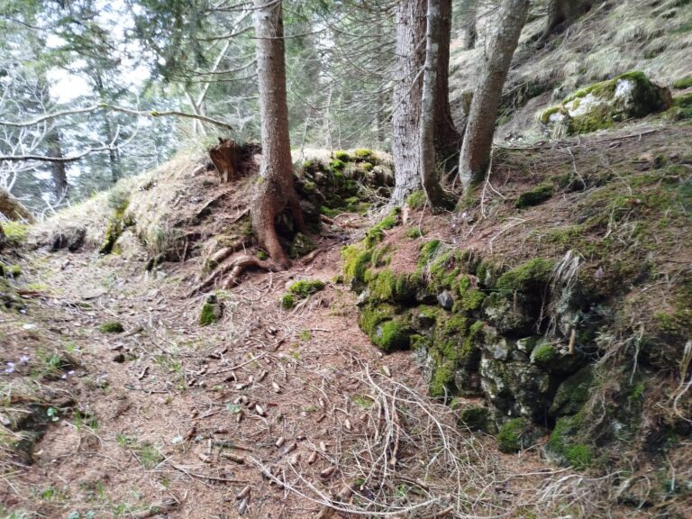 b4913f8d-ae2c-4d01-9e94-657b87025b8c