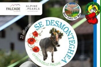 desmonteghea 2025