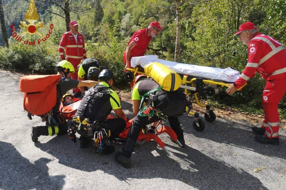 photo_5920135921435528233_y