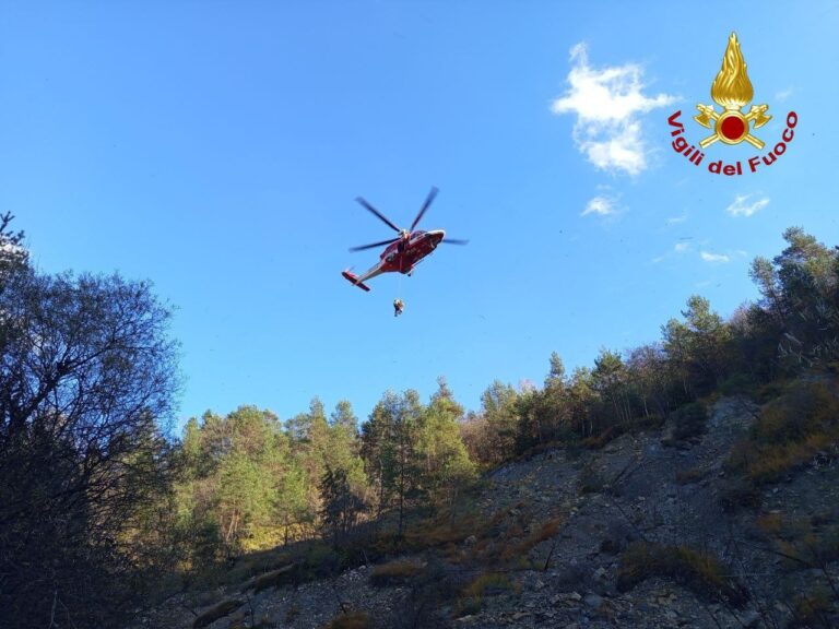 02e92c40-cdd9-46eb-b7fe-89c169bae13d